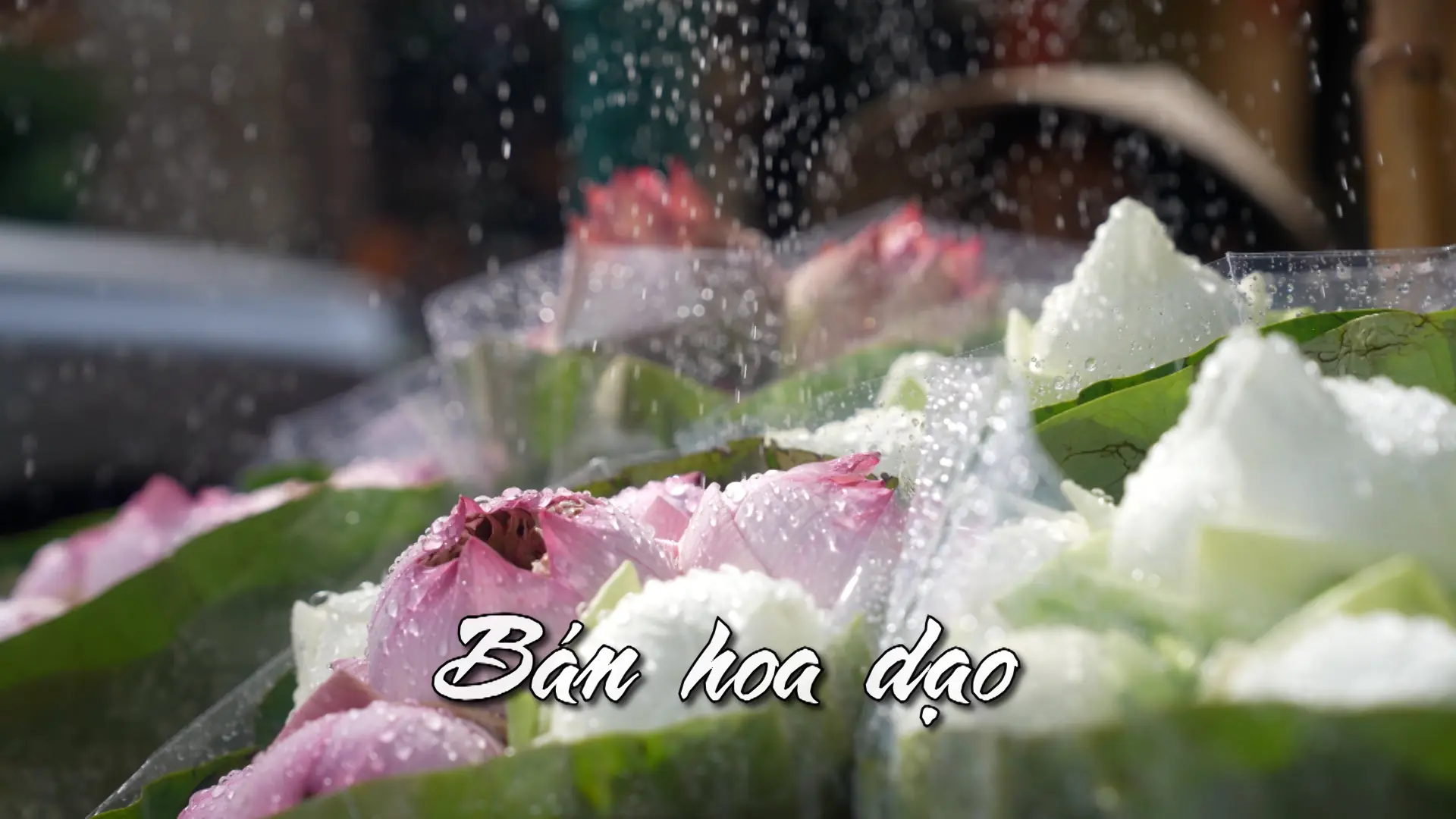 Bán hoa dạo | Nhịp sống Hà Nội | 29/07/2025